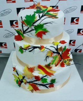 Tort sau candybar făcut de Corina Caffe